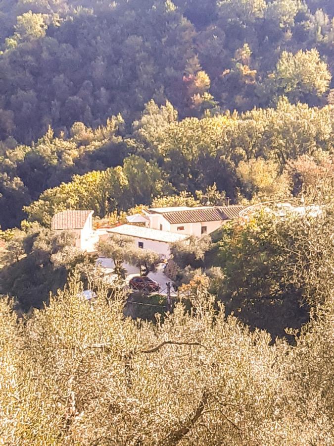 La Dimora Degli Angeli Bed & Breakfast Perugia Bagian luar foto